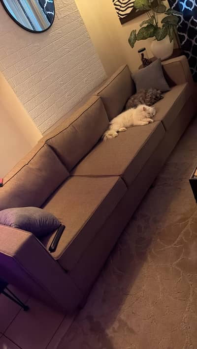 4 seater Brand new sofa for sale