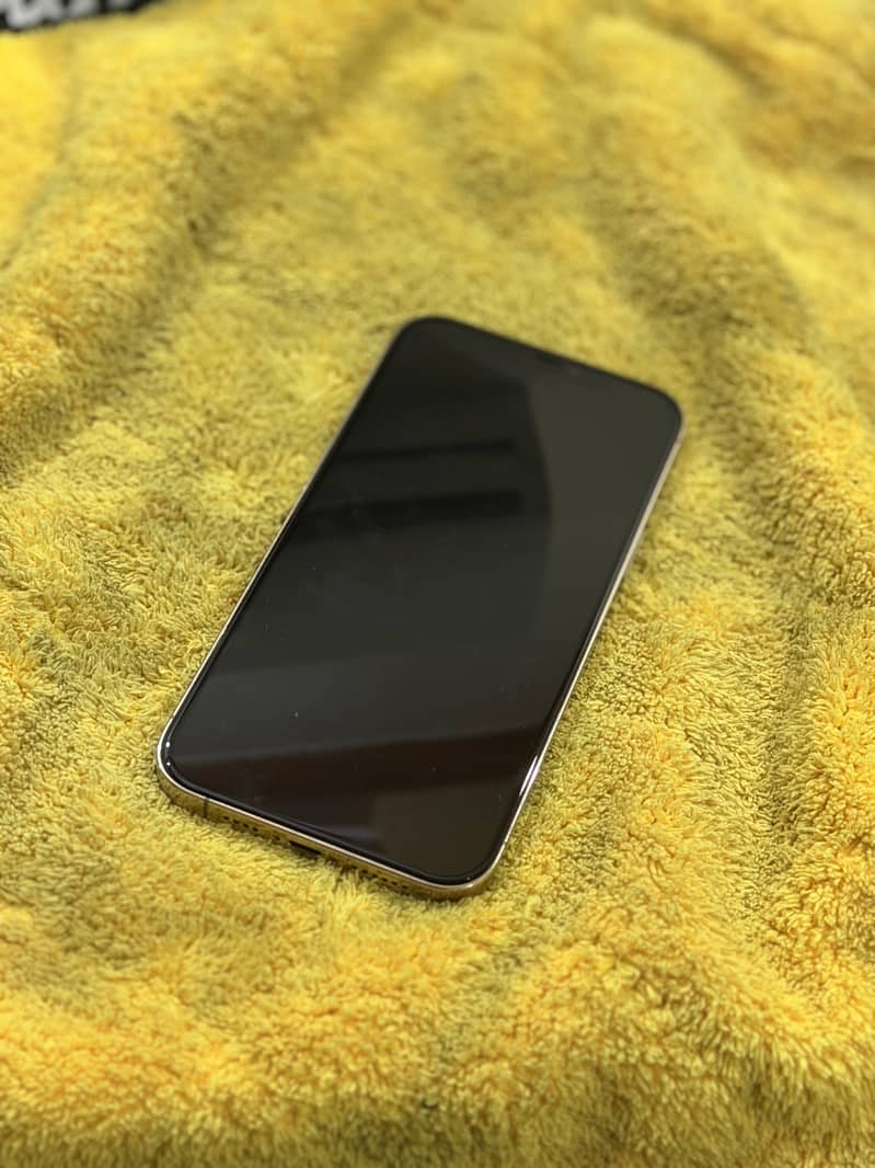 Apple iPhone 12 Pro Max 1