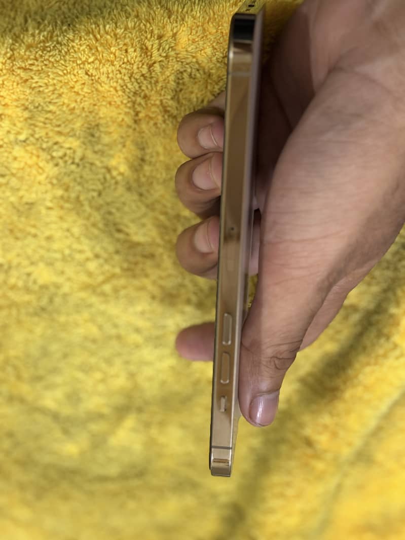 Apple iPhone 12 Pro Max 4