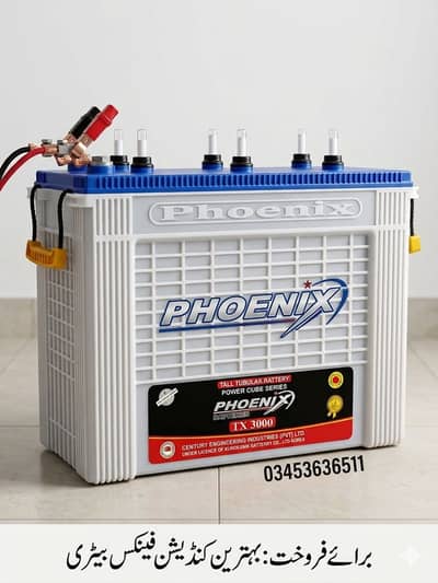 Phoenix TX 3000 Tall Tubular Battery for Sale۔