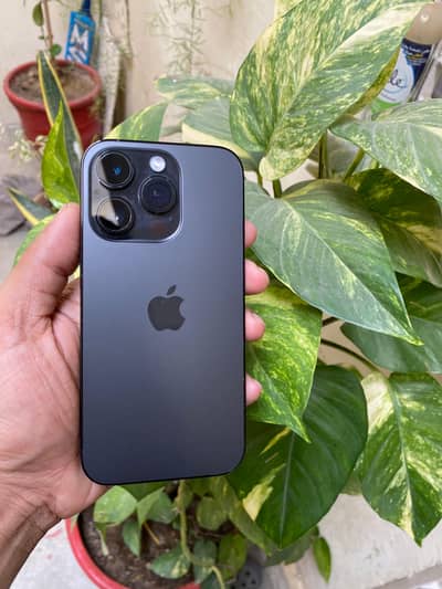 Iphone 14 Pro Non pta jv
