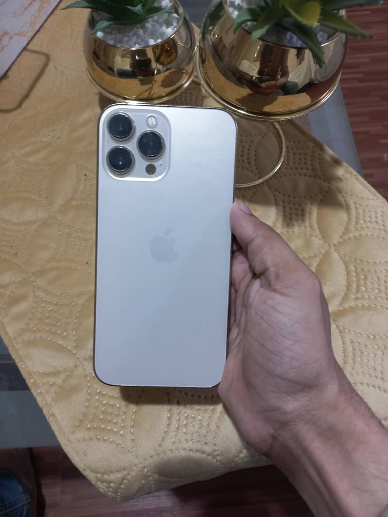 IPHONE 13 PRO MAX 2