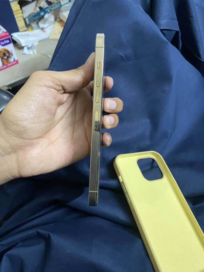 Iphone 13 pro max 2