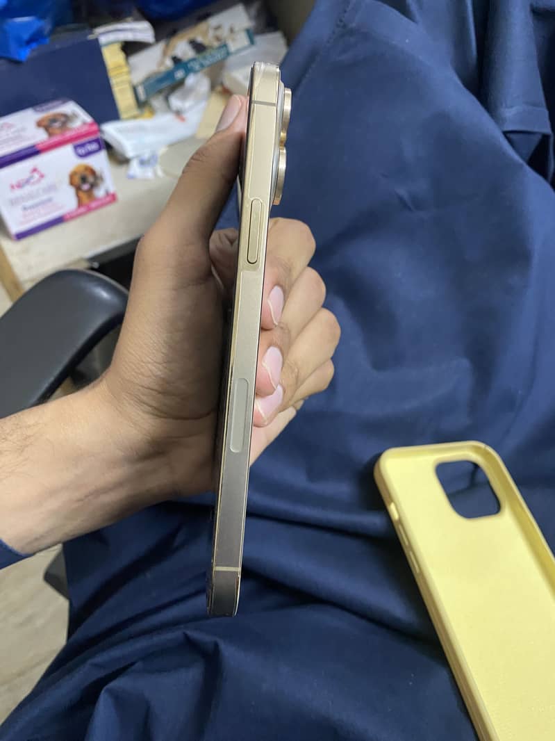 Iphone 13 pro max 3