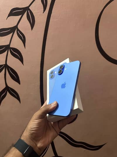 iPhone 16 plus