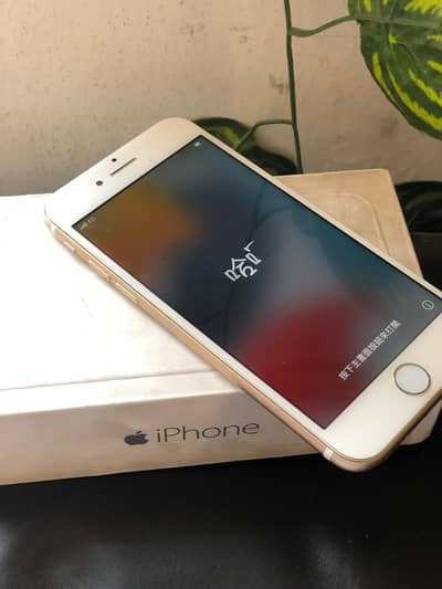 iphone pta approved read ad first