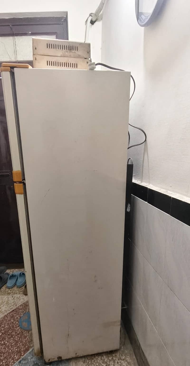 fridge 1