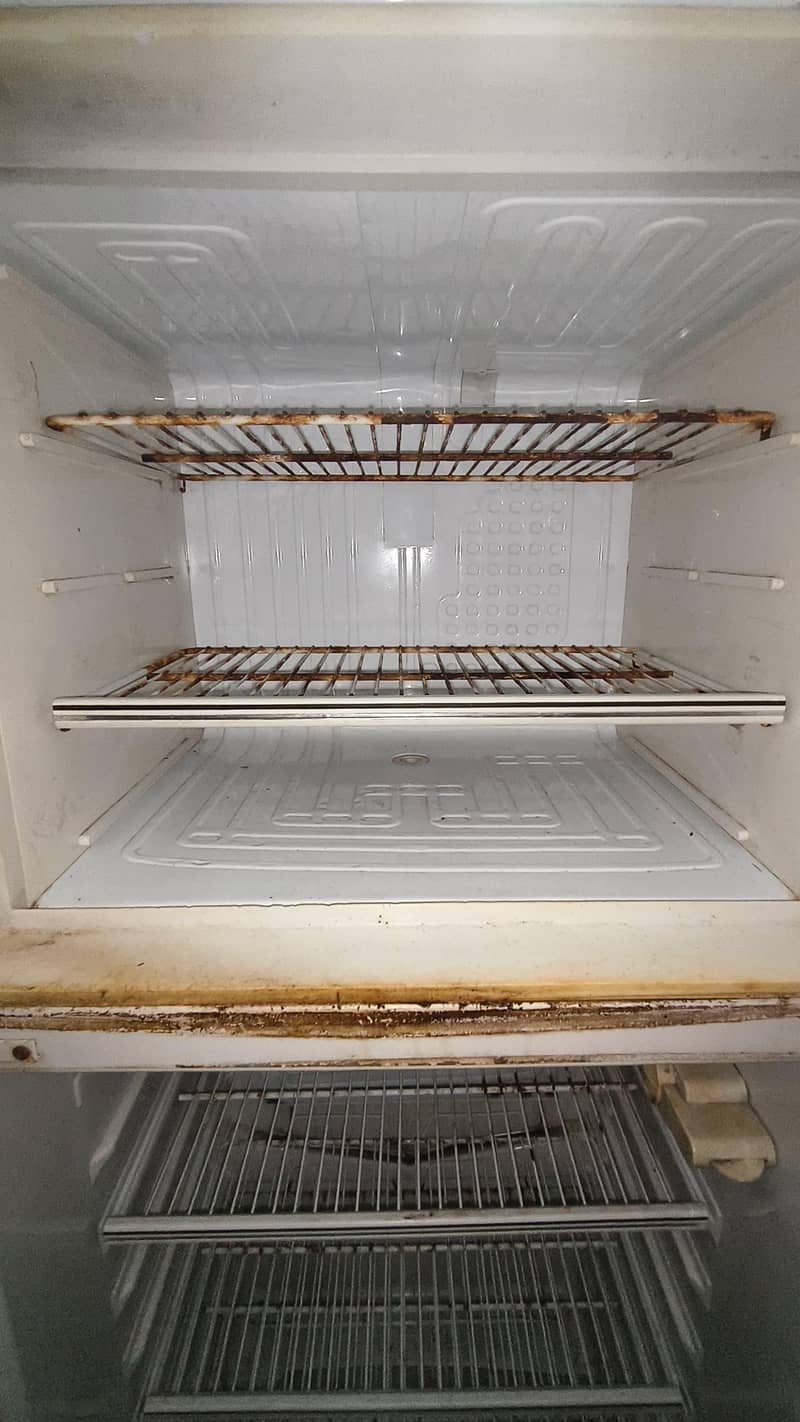 fridge 3
