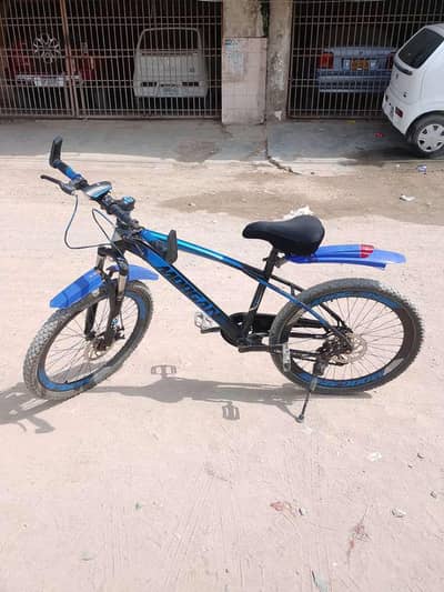 Morgan cycle 24 size