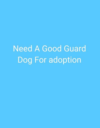 Need A Good Guard Dog For Adoption