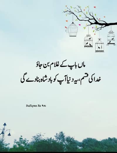 I need driving job sialkot