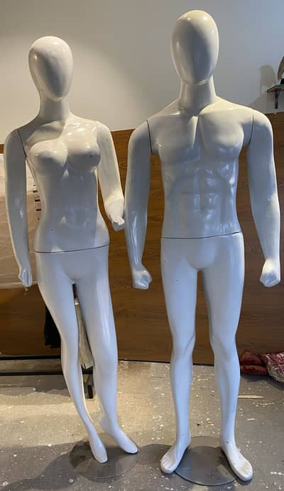 Menequin for sale