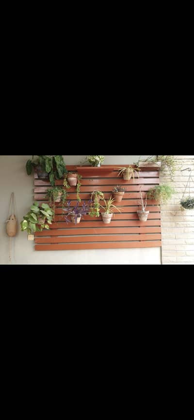 wooden plant hollder & allunium partitiion