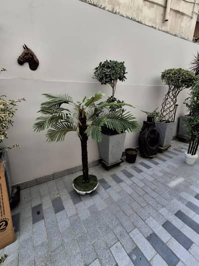 artificial palm plant 6 feet high