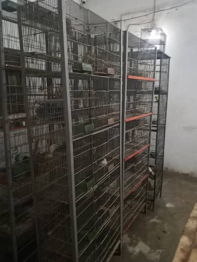 5 Heavy Gage Cages & 11 Pairs For Sale