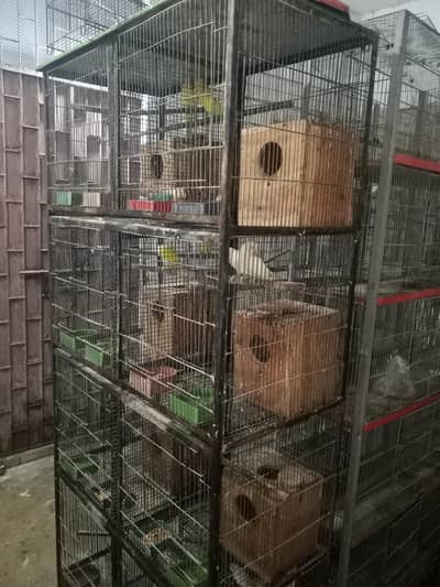 5 Heavy Gage Cages  For Sale