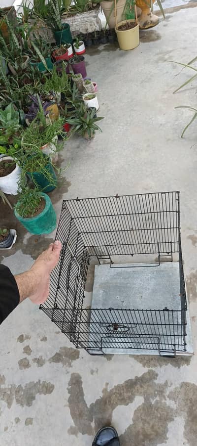 CAGE FOR JANGLI RAW PARROT