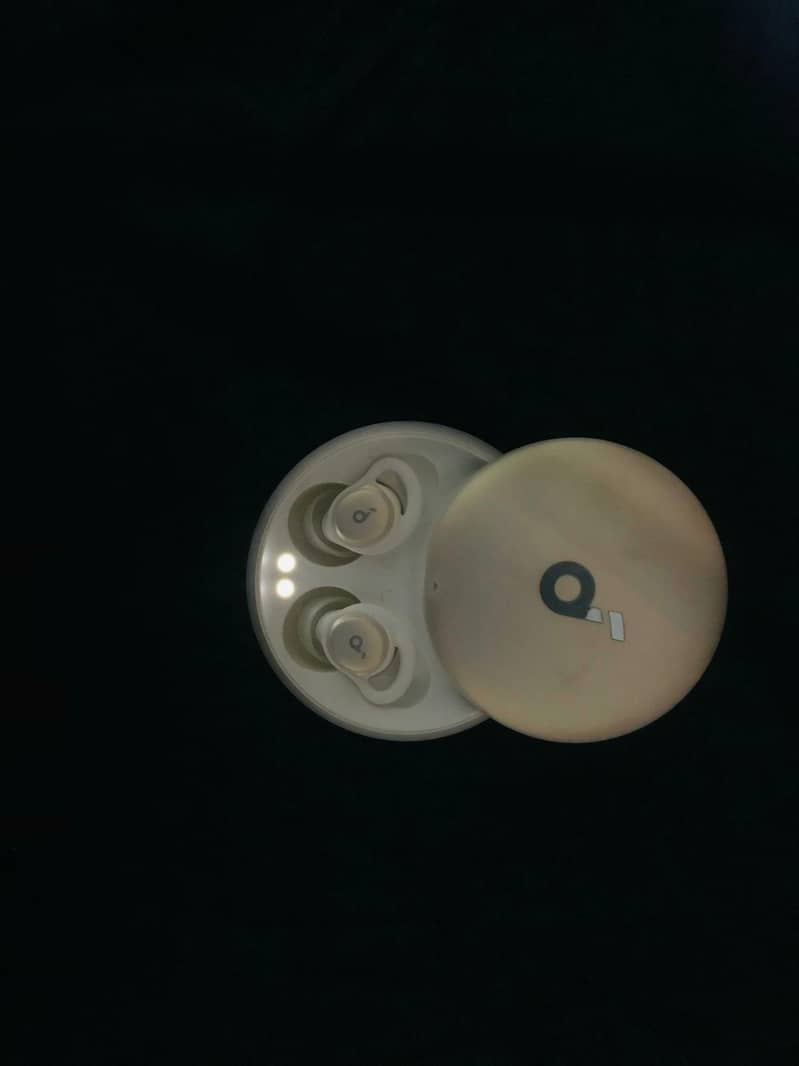 earbuds 1