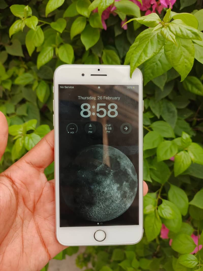 iPhone 8 plus 1