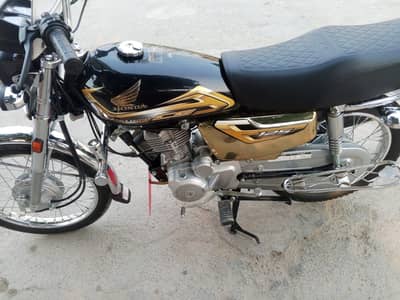 new 55
