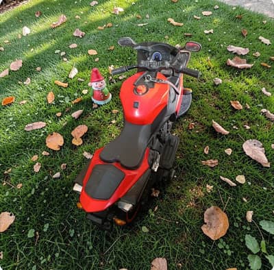 Kids Electric bike