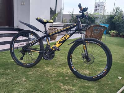 sports cycle 24 inch