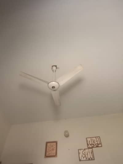 Ornate Fan