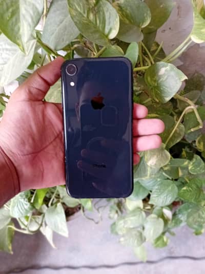 I phone Xr 64 Gb