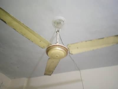 fan for sale