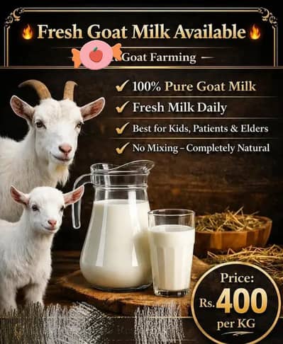 Goat Milk