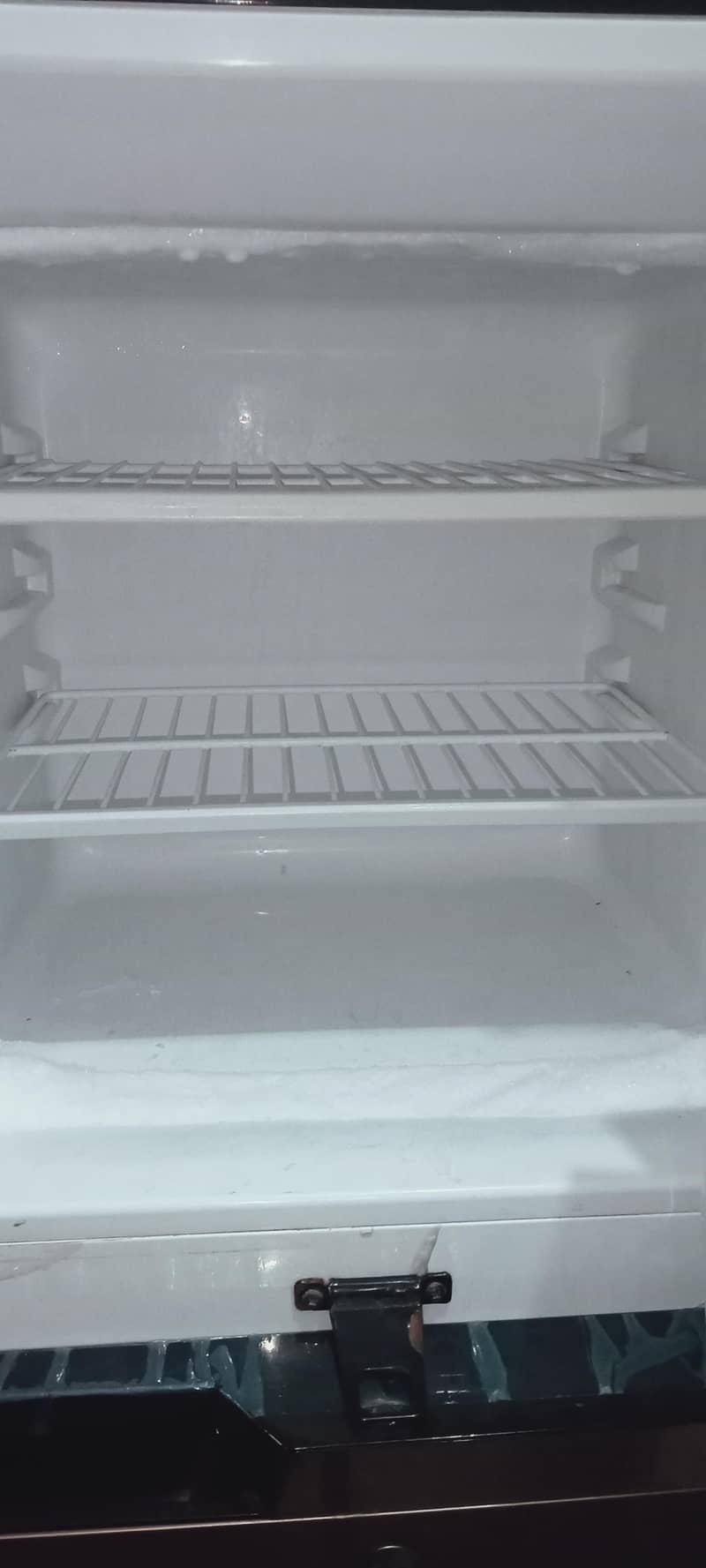 frige 2