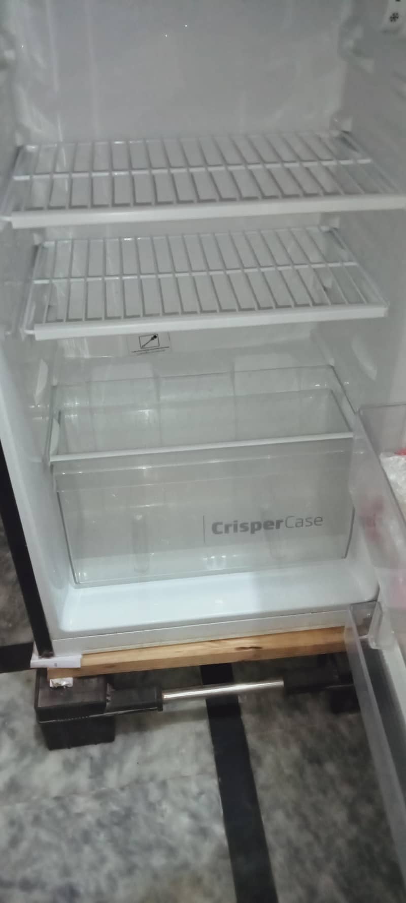frige 5