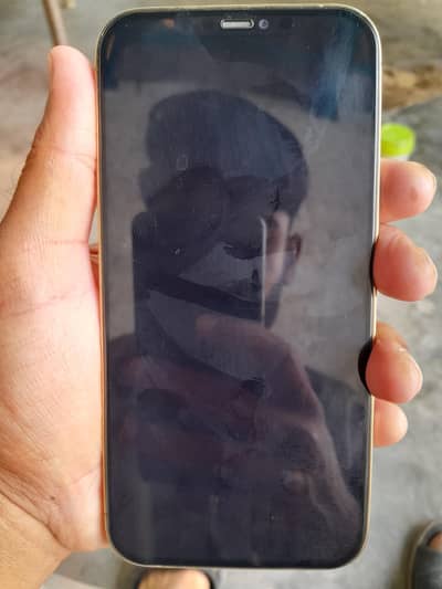 Iphone 12 pro max