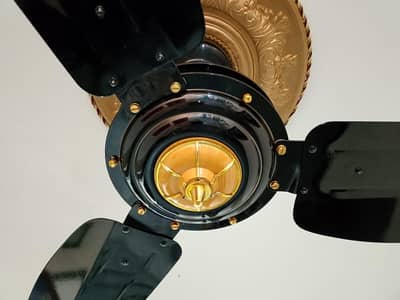GFC sphire model black fan