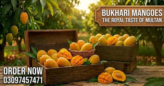 Fresh Bukhari Mangoes (Multan) - Home Delivery Available All Pakistan