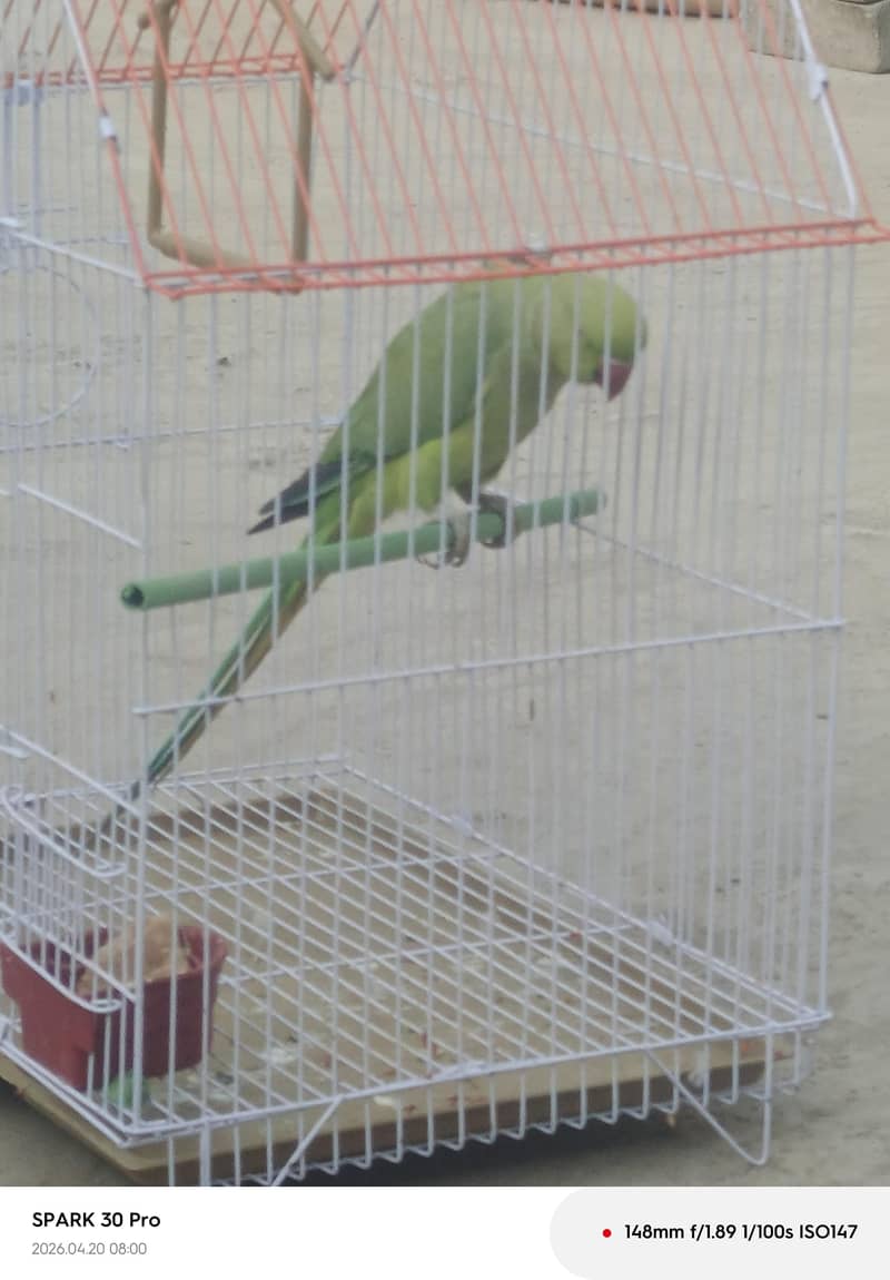 fresh 0
