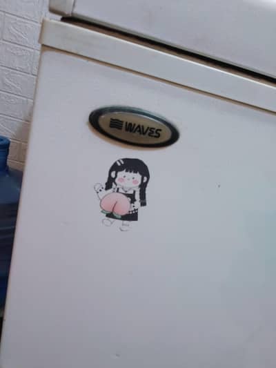 waves 1 door freezer