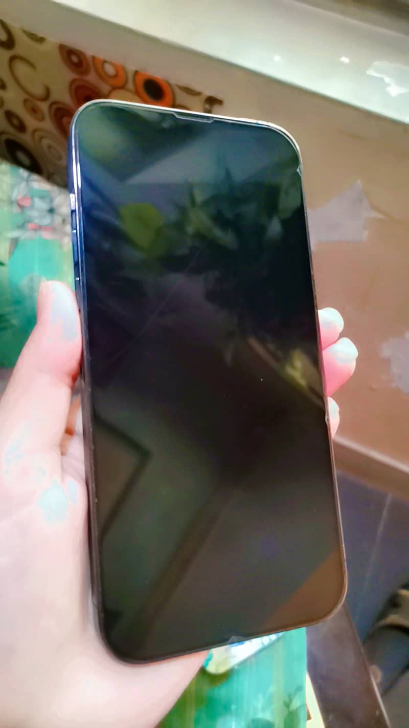 Iphone 13 pro max jv 1
