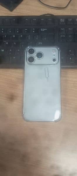 17 Pro Max