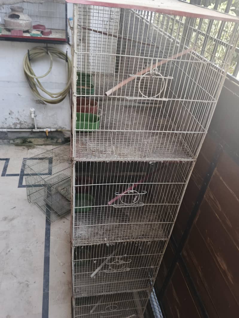 Cages 2