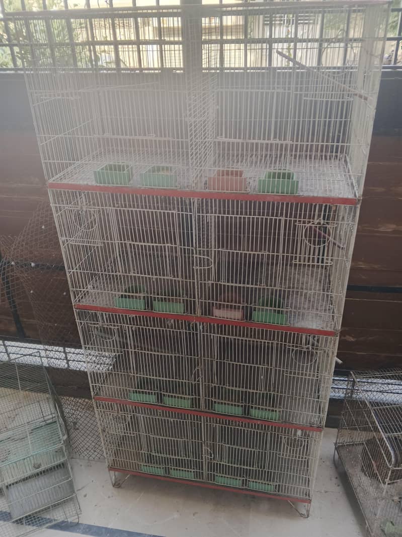 Cages 3