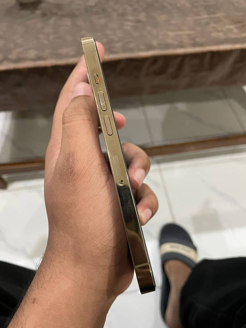 13 pro 1