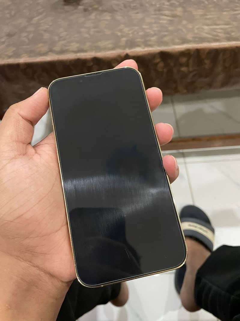 13 pro 2