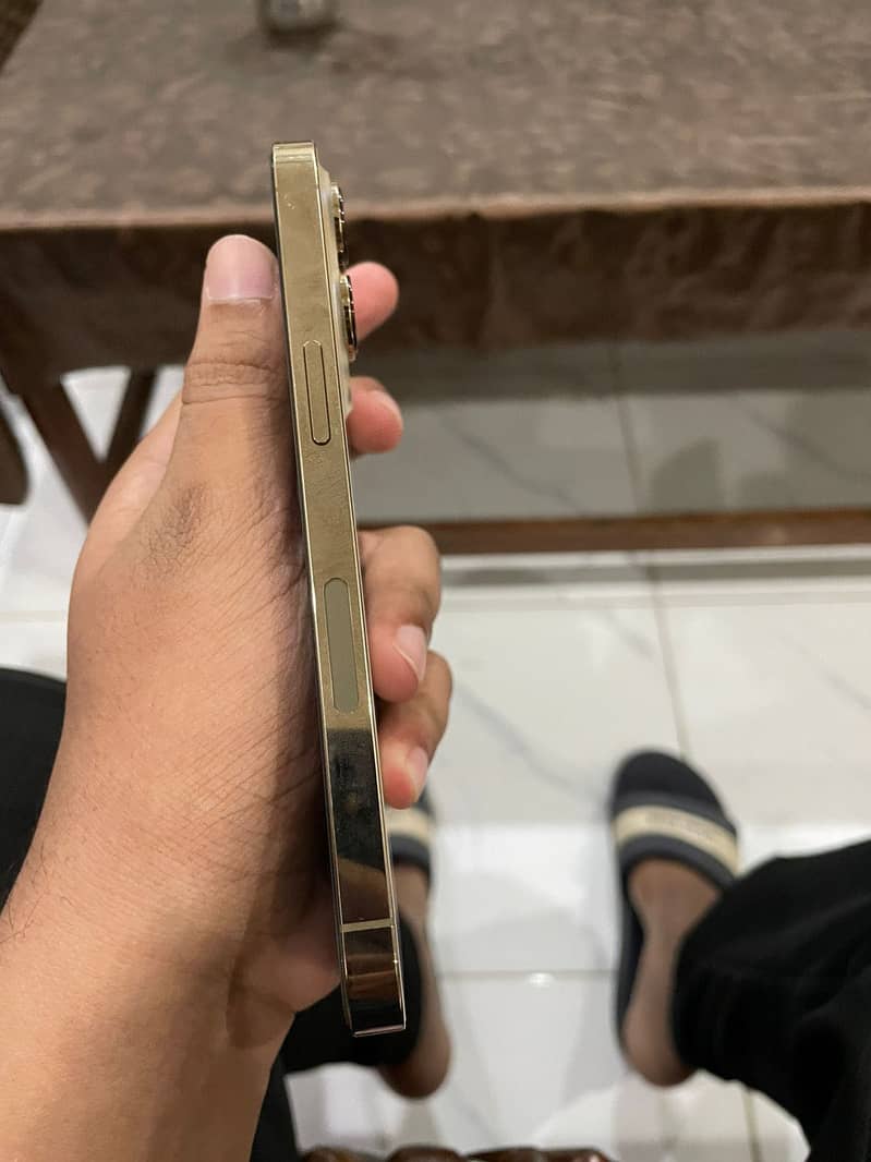 13 pro 3
