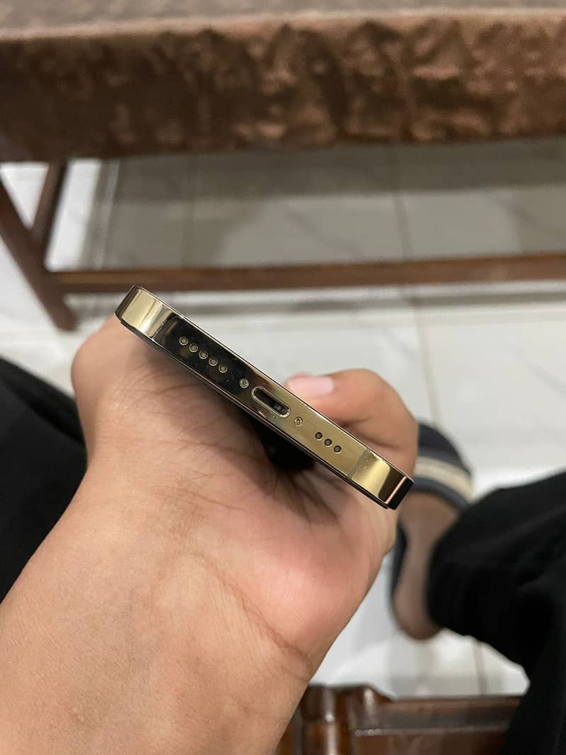 13 pro 5
