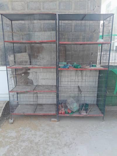 8 portion 2 cages
