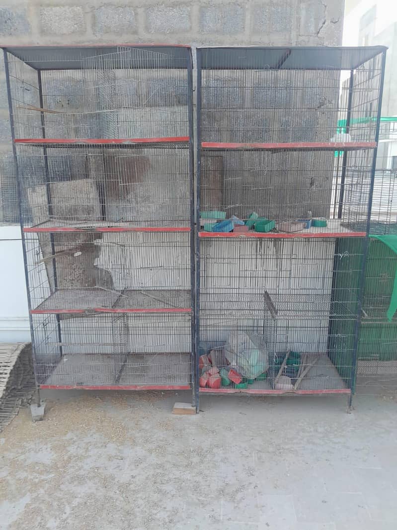 8 portion 2 cages 0