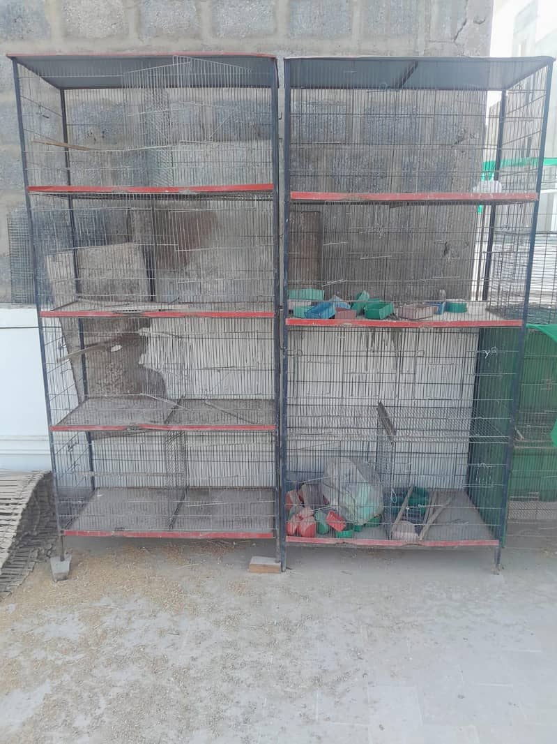 8 portion 2 cages 1