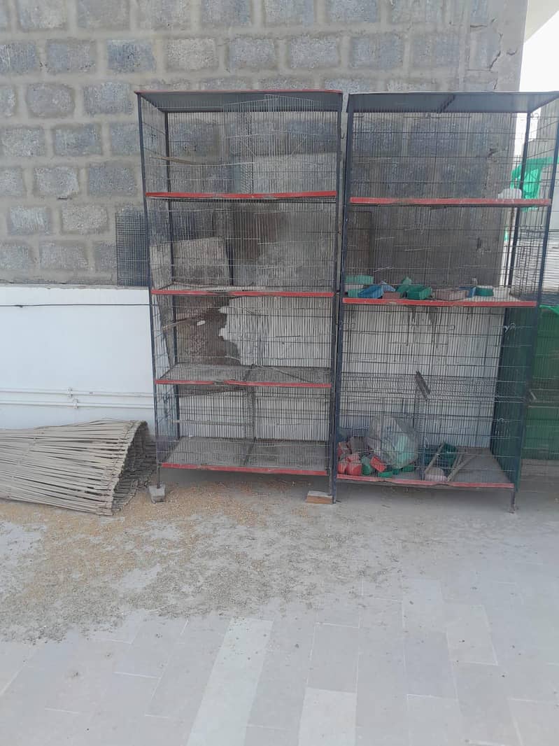 8 portion 2 cages 2