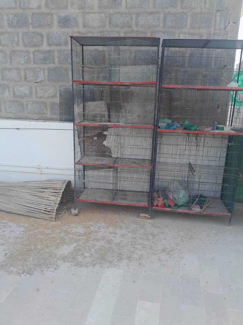 8 portion 2 cages 4